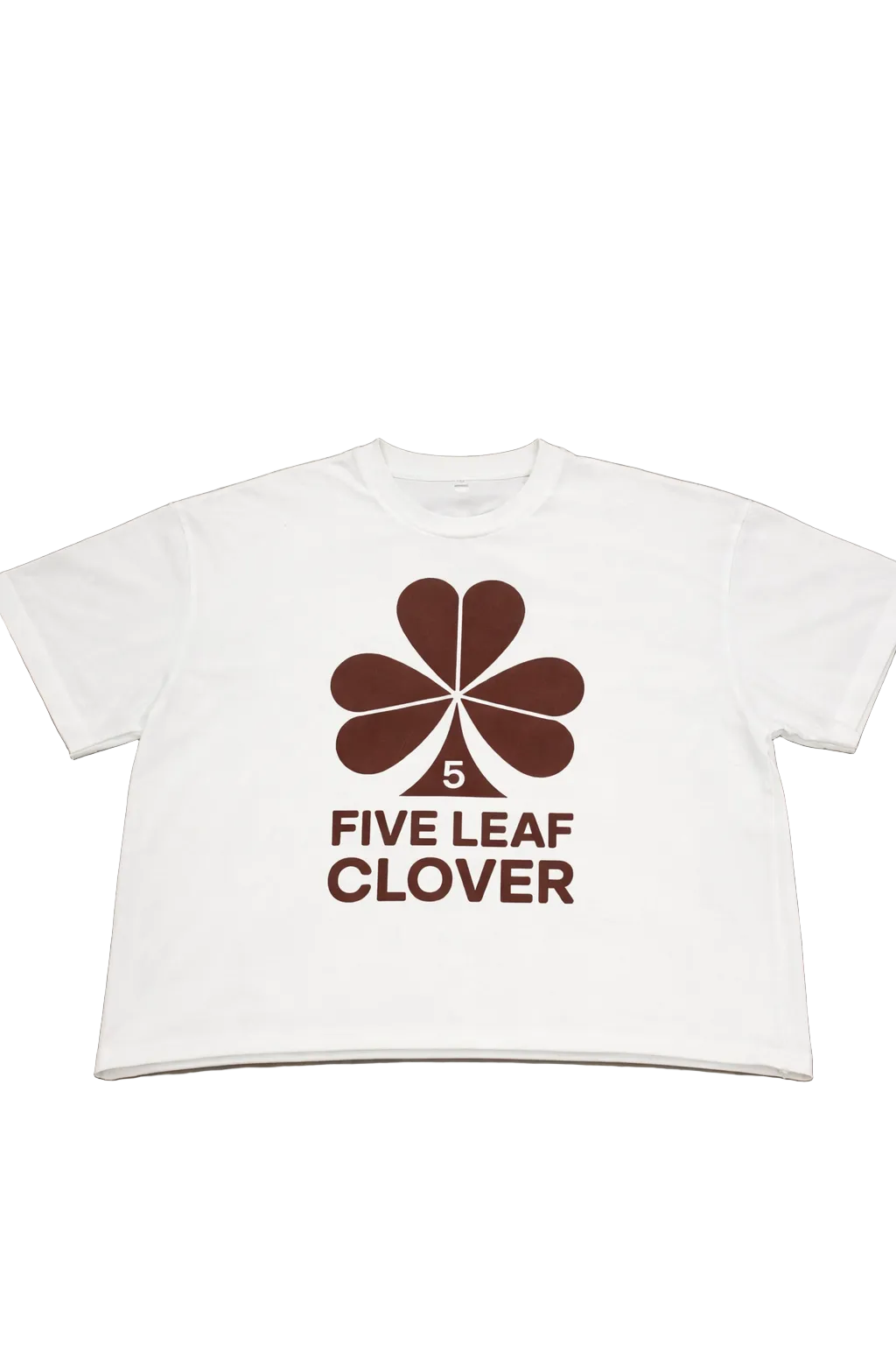 Fiveleaf cropped boxtee