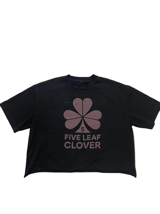FiveLeaf cropped boxtee